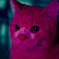 Rohit's profile picture